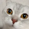 jjnshbd___hdjhdhd
