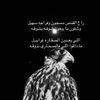 leenf64