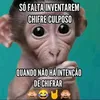 lecoaraujo83