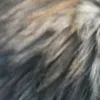sokshy0