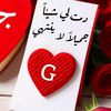 gehan.elsadaty
