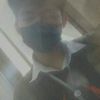 cat_gold14