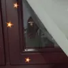 nellyjurekov