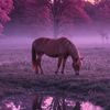 faten73551