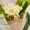 eva_6546
