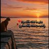 wahab.wahab501