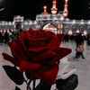 user7711690951613
