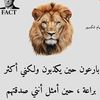 algale.wd.krar