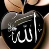 nur.hasan.khan41