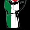 psissa13