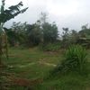 ceneng987