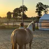 nala.louwagie2