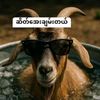 nay598155