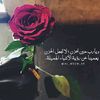 user151287755422