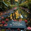 beautiful__butterfly1