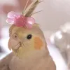 alittleberry_