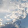 anchous_2281488