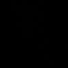 flawar_100
