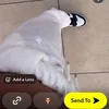ella_95309530