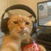 user8556160124998