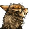 scruffytuffy