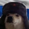 xlucasoxc
