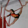 celee.2004