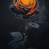 user5183341761707