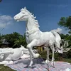 ho.trn0129