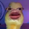 rainedump_pangalawa