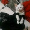martha57273