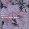 soft_haze1