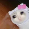jaovitinho022