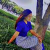 miee.miee13