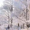 melanjagkyj
