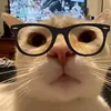 .p1ttyjade_