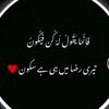 tahirbashir0553