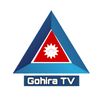 Gohira TV