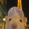 novathefrenchrat