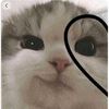 jana_kittenlover2