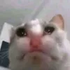 aanabaaga