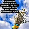 davidvid271