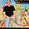 yamen.zaid63