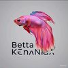 betta.kenanga100