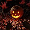 pumpkinmargins