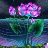 user851978169