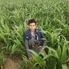user87121381863553