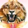 vitor.jardim43
