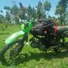 user71160060855261