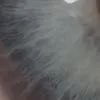 toasterangel